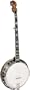 Gold Tone OB-250+ Orange Blossom Banjo (Five String, Vintage Mahogany)