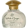 Terra Nova White Ginger Perfume Essence - .4 fl. oz.