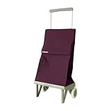 ROLSER SHOPPING CART ORIGINAL Gris MF 《Bassi》 ロルサー　折りたたみ式ショッピングカート