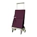 ROLSER SHOPPING CART ORIGINAL Gris MF 《Bassi》 ロルサー 折りたたみ式ショッピングカート
