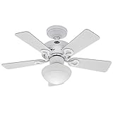 Hunter 20422 Bainbridge 1-Light 36 inch 5-Blades Ceiling Fan