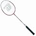DHS 3202 Aluminum-Steel Shaft Badminton Racket, Double Happiness (DHS)