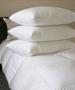 Soft White Goose Down Super Standard Pillow