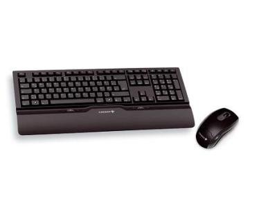CHERRY eVolution SIRIUS XT Wireless MultiMedia Desktop optical mouse 1000 dpi 2,4 GHz USB  Preisvergleich