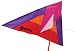 BrainStorm 75" WindSpirit Nylon Delta Wing Kite