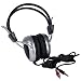 Headphone with Microphone (Silver and Black)