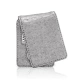 Griffin Technology, Elan Convertible Nano3G Silver