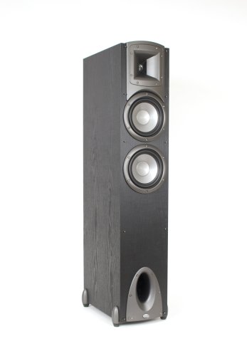 Klipsch F-2 Synergy FloorStanding Loudspeaker (Single, Black)