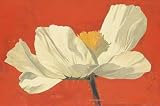 Early Morning Art Print Poster By Curtis Parker, 25 