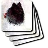 Dogs Pomeranian - Black Pomeranian - Coasters