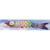 Multicolored 5 foot Koi Fish Windsock #ITB4118