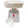 Investment Scale 10lb Capacity Pro-Craft