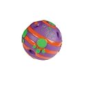 Wiggly Giggly Mini Ball Dog Toy