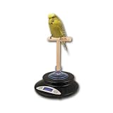 ZIEIS Digital Bird Scale | A42-NTP | Wooden T Perch | Suction Cup | 1.0 Gram or 0.1 Ounce Accuracy | 2000 Gram or 70 Ounce Capacity