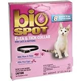 31xF Nkz6mL. SL160 Bio Spot Flea & Tick Collar for Cats & Kittens, BreakAway, 8 Month