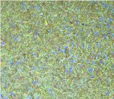 Herbes de Provence 2 oz. - Fancy blend with Lavender