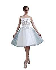 A-line Strapless Natural   Waistline Tulle Knee Length Lace  Dress