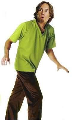 Scooby- Doo tm Shaggy tm Adult one size fit costume up to Chest size 42"