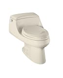 KOHLER K-3466-NG San Raphael One-Piece Elongated Toilet, Tea Green