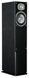 Energy C-300 Floor Standing Speaker (Single, Black)