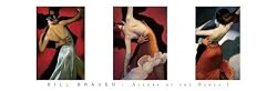 Allure Of The Dance I - Art Print (Artist: Bill Brauer) (Size: 36" x 12")
