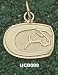 Univ Of Cal-Davis Horse Head 3/8 Charm/Pendant