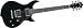 Ibanez Dn300 Electric Guitar Black