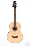 Wechter Elite Travel Guitar | Price And Model Comparison 31xH1T jGyL. SL160 Wechter Elite Travel Guitar | Price And Model Comparison