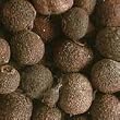 Allspice- Jamaica By ChefShop.com