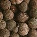 Allspice- Jamaica By ChefShop