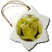 Silver Cholla Cactus flower with spider.(Opuntia echinocarpa).Anza-Borrego Desert State Park, Cali - 3 Inch Snowflake Porcelain Ornament