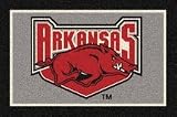Arkansas Razorbacks 5' 4x 7' 8 Team Spirit Area Rug