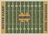 Notre Dame Fighting Irish 5 4 x 7 8 NCAA Home Field Area Rug