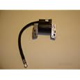 Replacement Briggs and Stratton 695711, 802574, 493237, 492416 Ignition