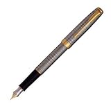 PARKER 万年筆 ソネット シズレ GT （色：シルバー 材質：スターリングシルバー ペン先：18K 太さ：中字）