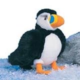 Puffin 11