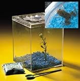 Grow A Frog