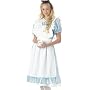 Sexy Adult Womens Costumes Alice in Wonderland Teaparty Dress Costume Theme Party Outfit