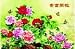 3D Image Greeting Poster of Plastic Hard Cardboard