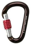 Metolius Element Key Lock Locking Belay Carabiner