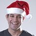 Adult Red Plush Santa Hat