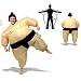 Sumo Wrestler Inflatable Fancy Dress Costume
