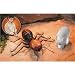 Indiana Jones Toys Remote Controlled Giant Ant With Scary Mandibles