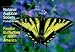 Aud. Familiar Butterflies of NA