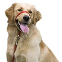 Gentle Leader Head Collar Large