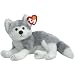 Avalanche - Husky Dog