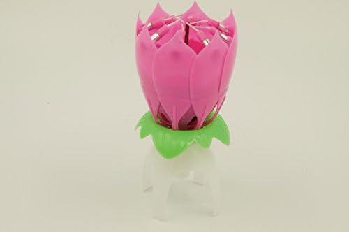 Crazy Holiday 5pcs ,Singing ,2 Layers, Flower Music Birthday Candles for Cake (Pink)
