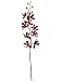 Faux 32 Mokara Vanda Orchid Spray Brown (Pack of 12)