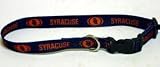 New! Large Syracuse Orangemen Dog Collar