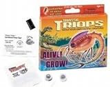 Triassic Triops Eggs and Nutrient in Gift Box